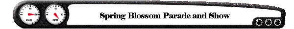 Spring Blossom
